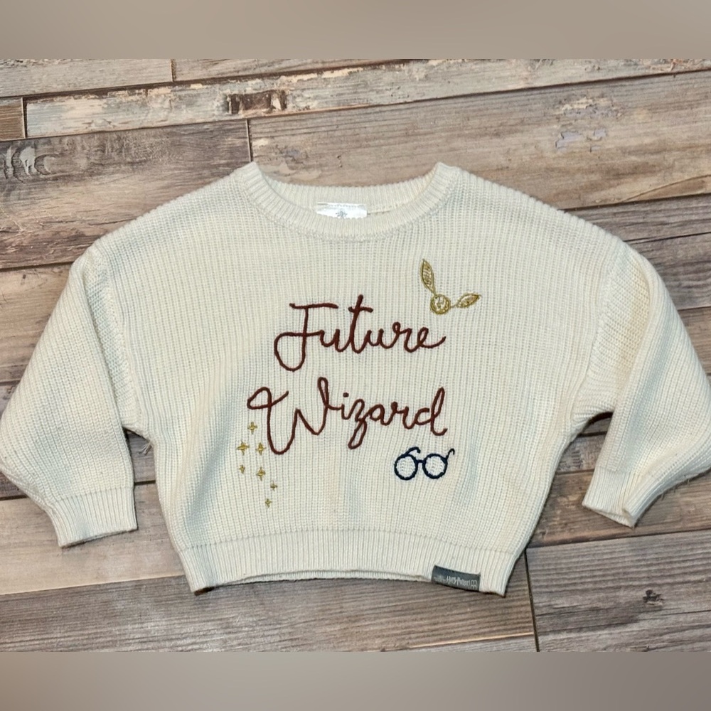 Harry Potter Modern Moments sweater size 2T